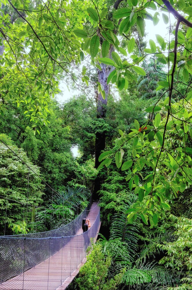 Hiking