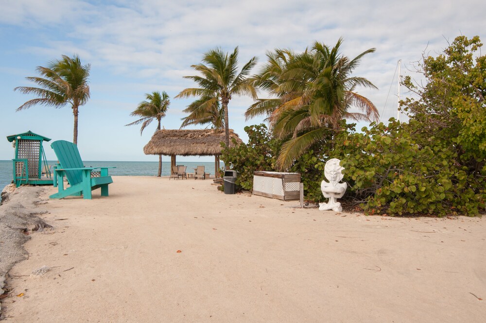 Beach/Ocean View