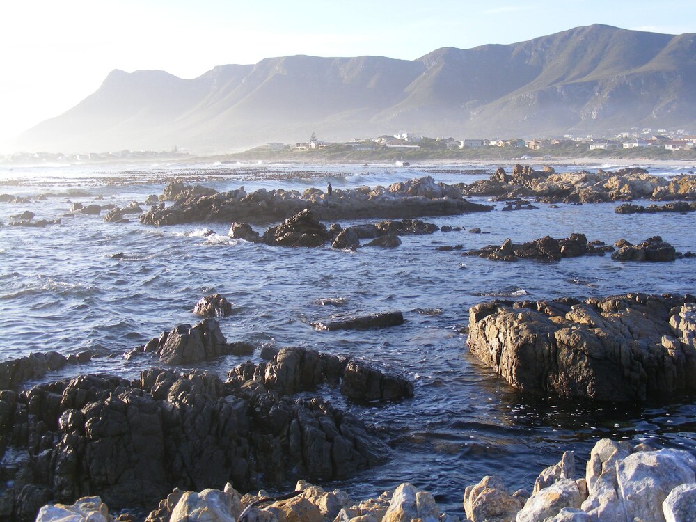 Beach/Ocean View