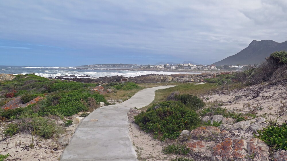 Beach/Ocean View