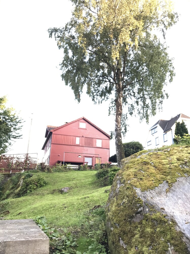 Utsikt mot hage