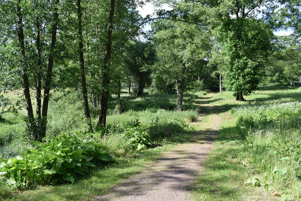 Wandern