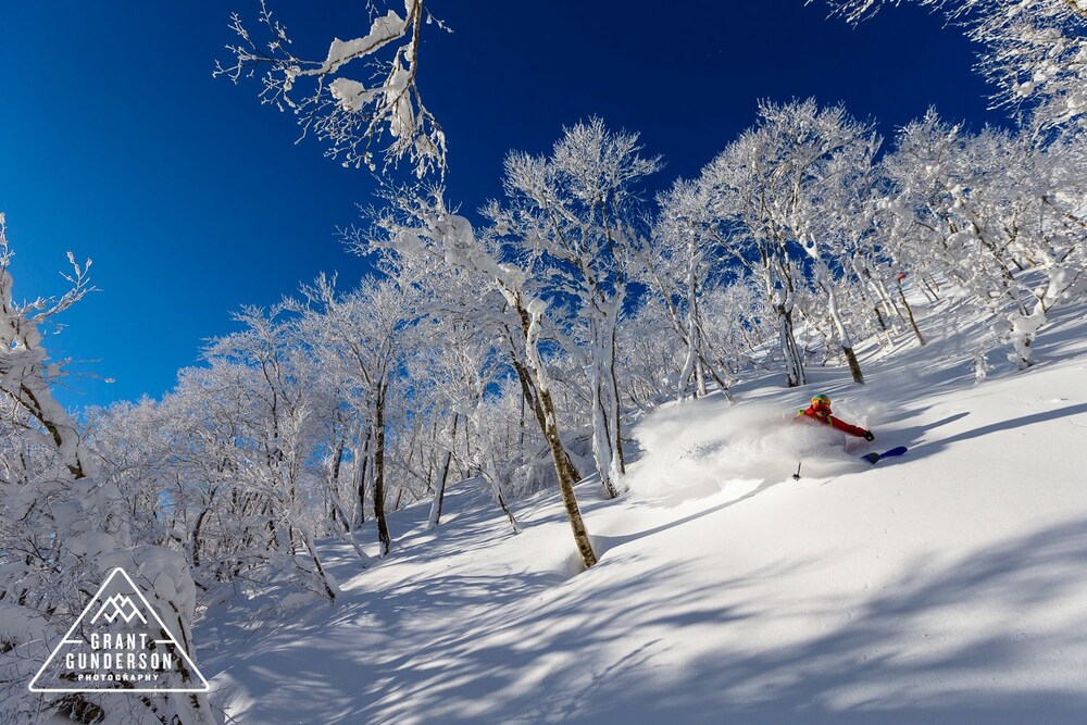 Skiing
