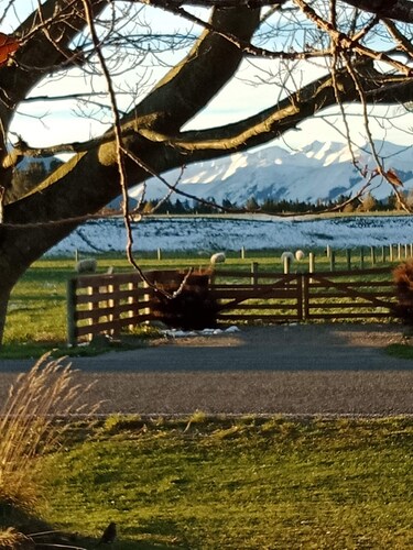 Comfortable Holiday Home in the Heart of Mt Somers
