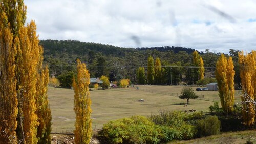Woodvale at Cooma Mini Farm Stay