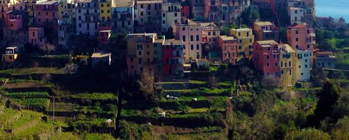 Il Magàn - Cinque Terre