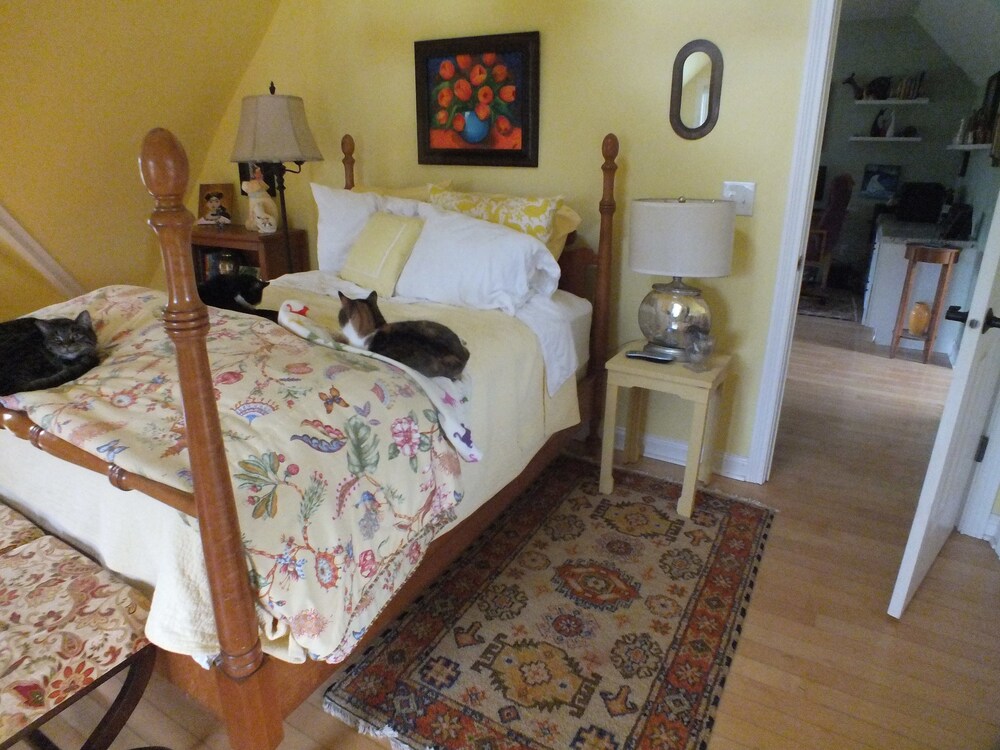 Basic Double Room, 1 Double Bed, Non Smoking - Guestroom