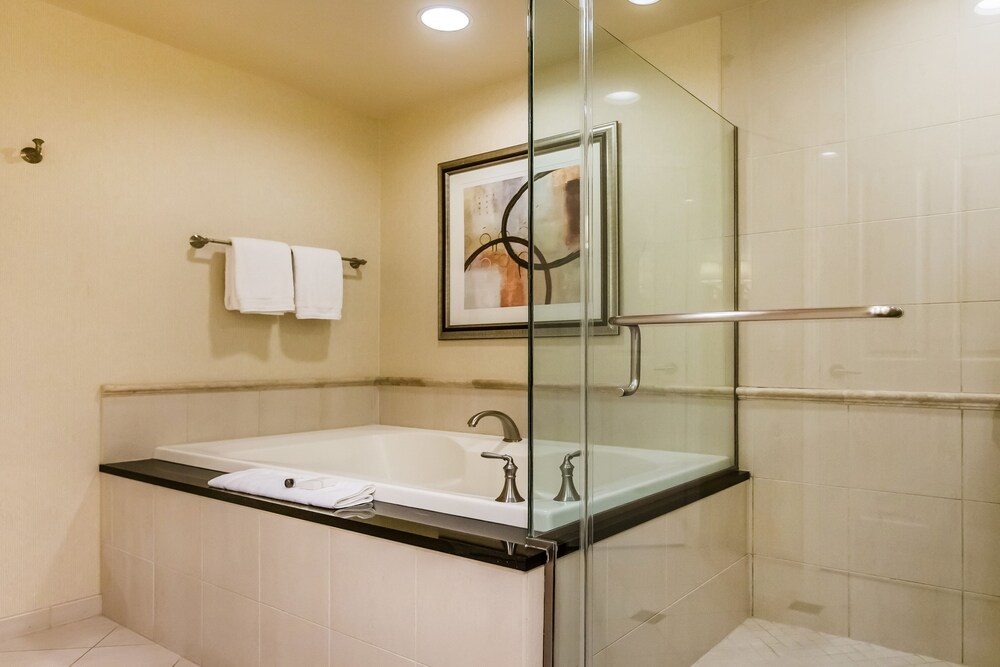 Deluxe Studio Suite, 1 Queen Bed, Non Smoking - Bathroom Shower