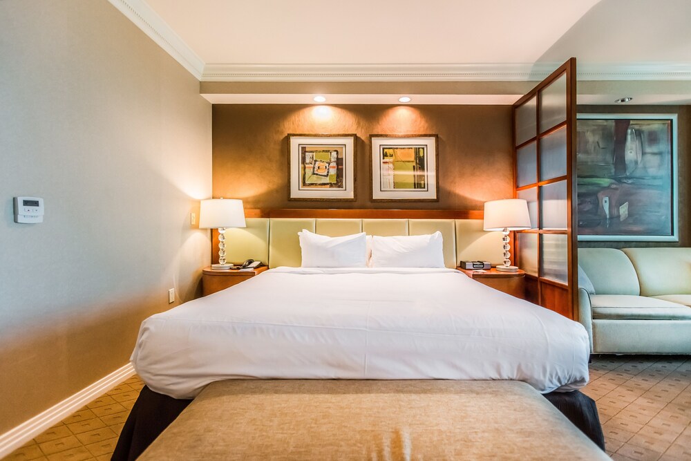 Deluxe Studio Suite, 1 Queen Bed, Non Smoking - Room