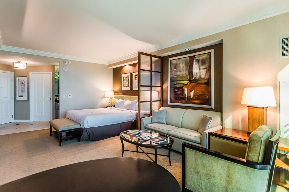 Deluxe Studio Suite, 1 Queen Bed, Non Smoking - Room