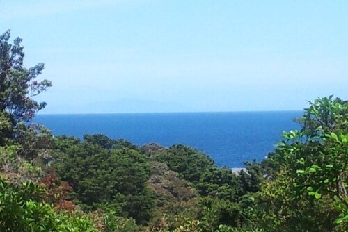 Classic Kiwiana bach