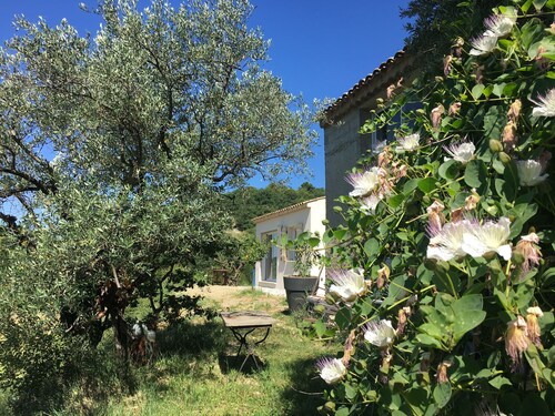 Gîte à 10 mn de Vaison la romaine
