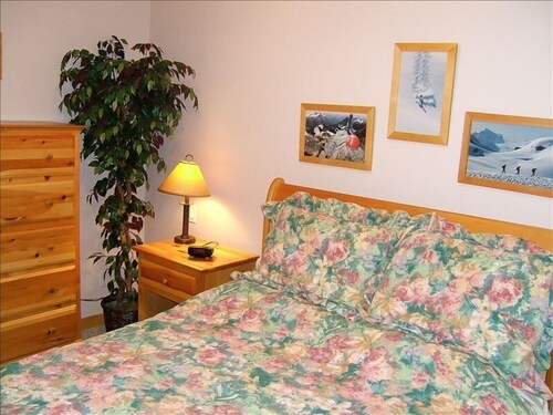 The Best Ski in/Ski Out Location with Private Hot Tub & Bbq