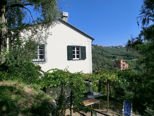 Maison de campagne restaurée avec amour à Olive Grove avec vignoble à 10 minutes de la mer