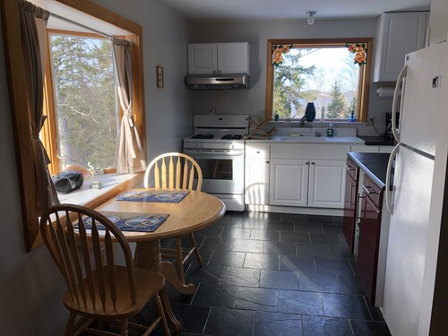 New Apartment Quiet Location Trees Water Walk To Downtown, deep cleaned.