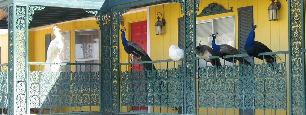 Porch