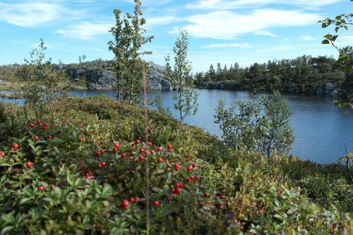 Fjellhytte, 20 km nord for Oppdal, nær Trollheimen.