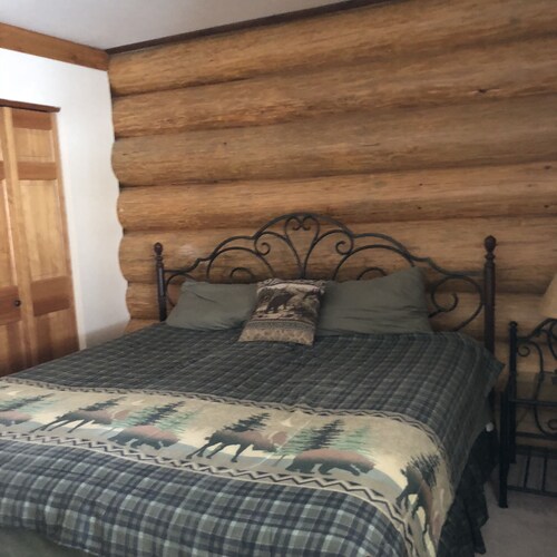 Custom Log Lake House on Wynne Lake with Pontoon Boat. Summer 1 week Sat to Sat