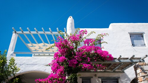 Gorgeous 2 bed house / apartment with sea views in Drios, near Golden Beach