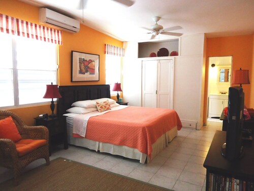 Spacious Hillside 1-Bedroom House with Fabulous Ocean Views (WiFi, SatTV + more)