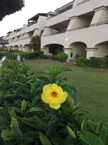 Beautiful Ocean view Garden level 2 Bed Condo, Heated pool, Jacuzzi