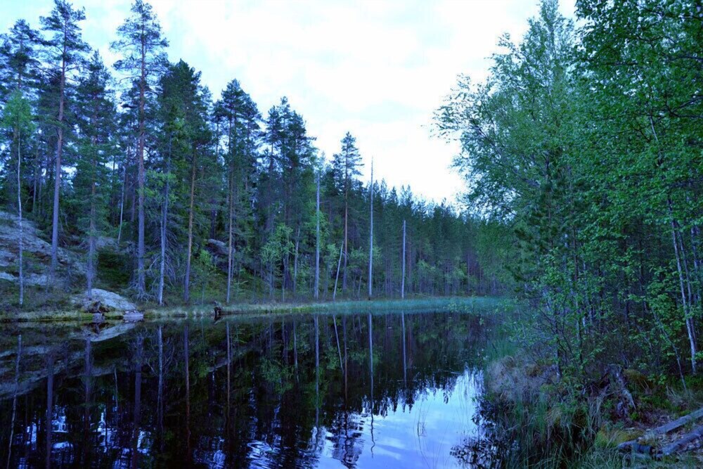 Pääkuva
