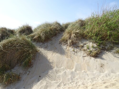 Zeeland Ferienhaus 5 Minuten vom Meer entfernt