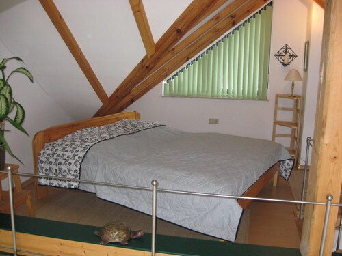 Ferienhaus**** direkt am Wald...... mit Aussenwhirlpool....... bei Wittenberg