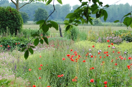 LELYMARE, APPARTEMENT DE TULP