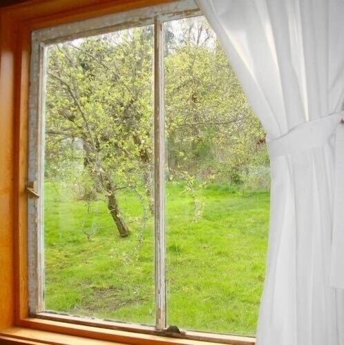 Orchard Cabin - A Cozy Cabin in a Peaceful Orchard Close to Ganges.