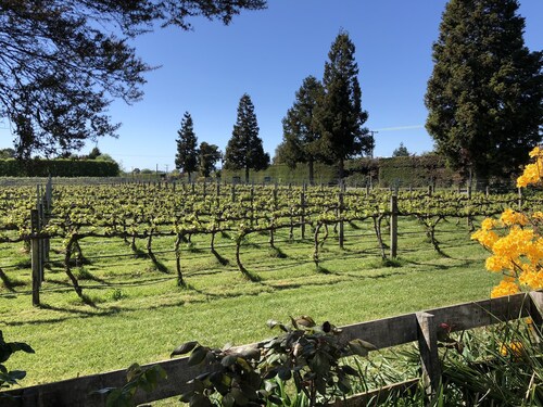 Vineyard Retreat near stunning Abel Tasman