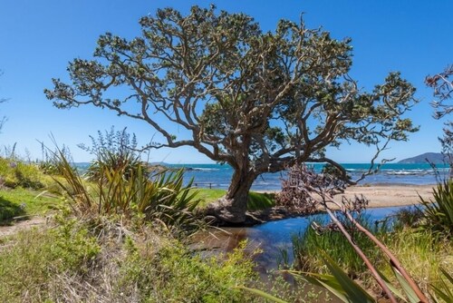 Stylish Seaside Bach near Cable Bay - KAYAKS, VIEWS & AIR CON