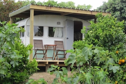 Caravan in the orchard with a view.