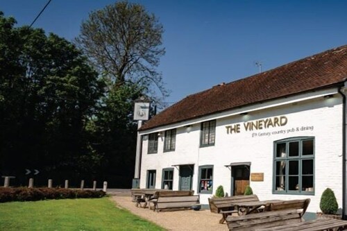 The Vineyard