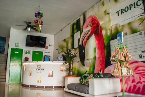 Hotel Tropicus Boutique