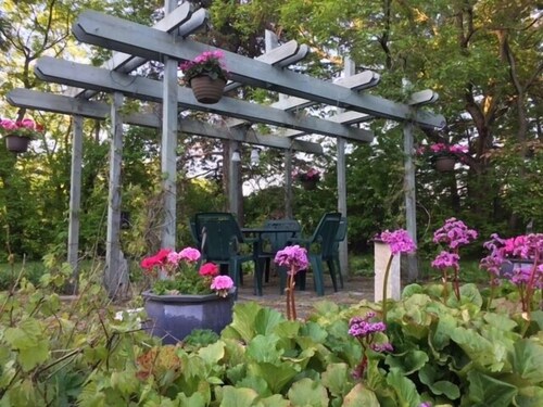 Outdoor Wedding Area