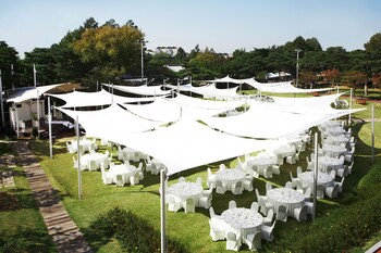 Outdoor Wedding Area