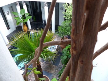 Guestroom View