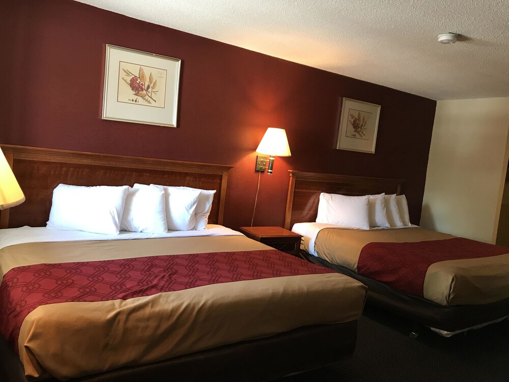 Guestroom View