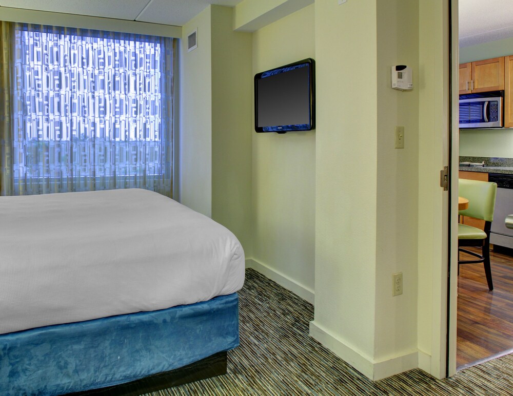 Suite, 1 Bedroom - Guestroom