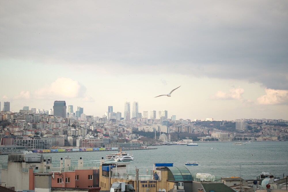 City View