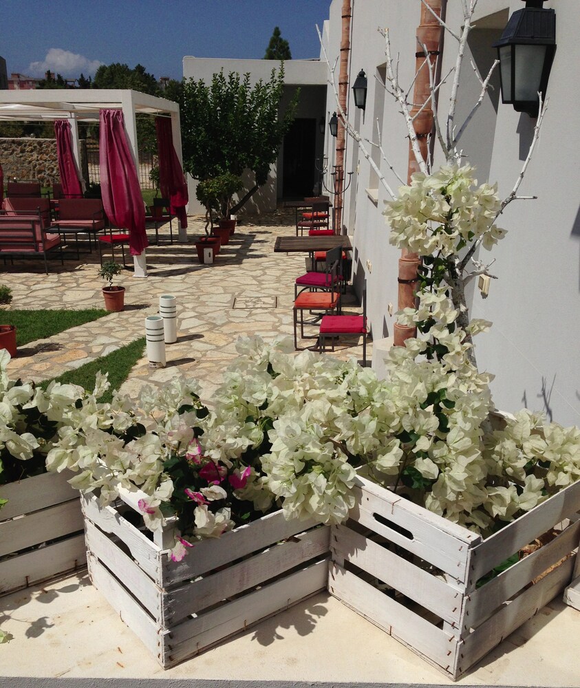 Terrazza/Patio