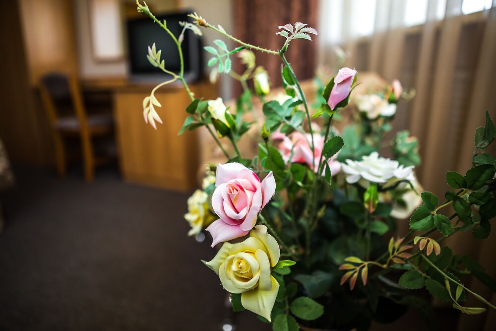 In-Room Amenity