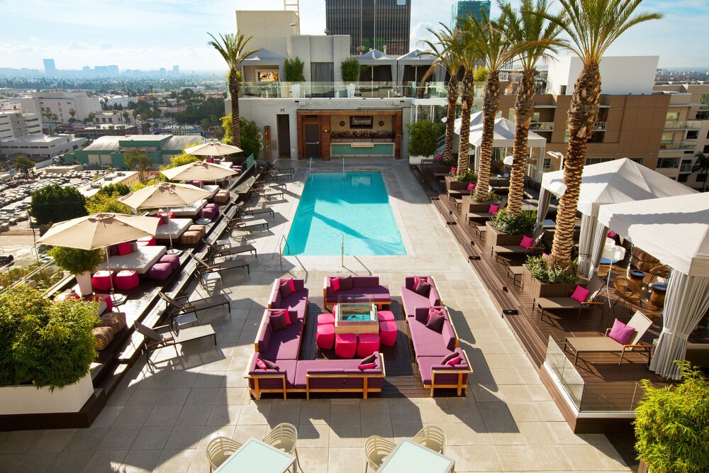 Rooftop pool, W Hollywood