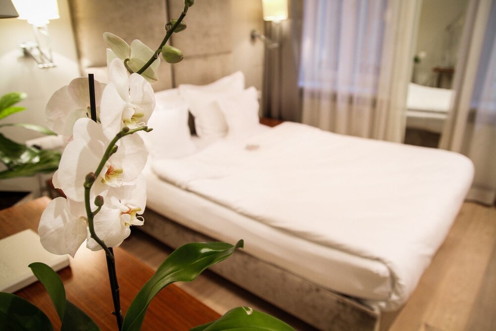 Superior Studio (for 1 person) - Guestroom