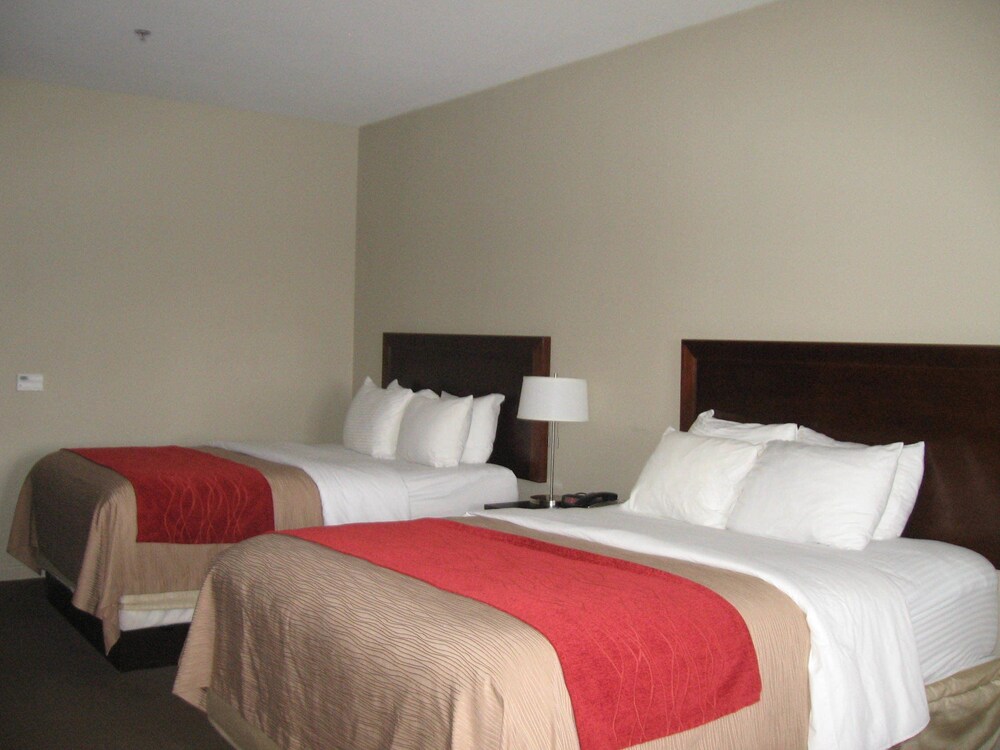 Guestroom View