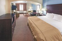Executive Room, 1 King Bed with Sofa bed