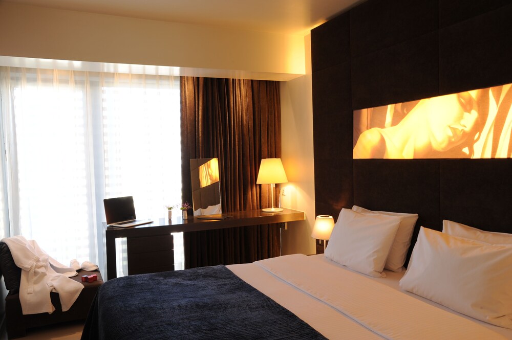 Senior Suite - Guestroom