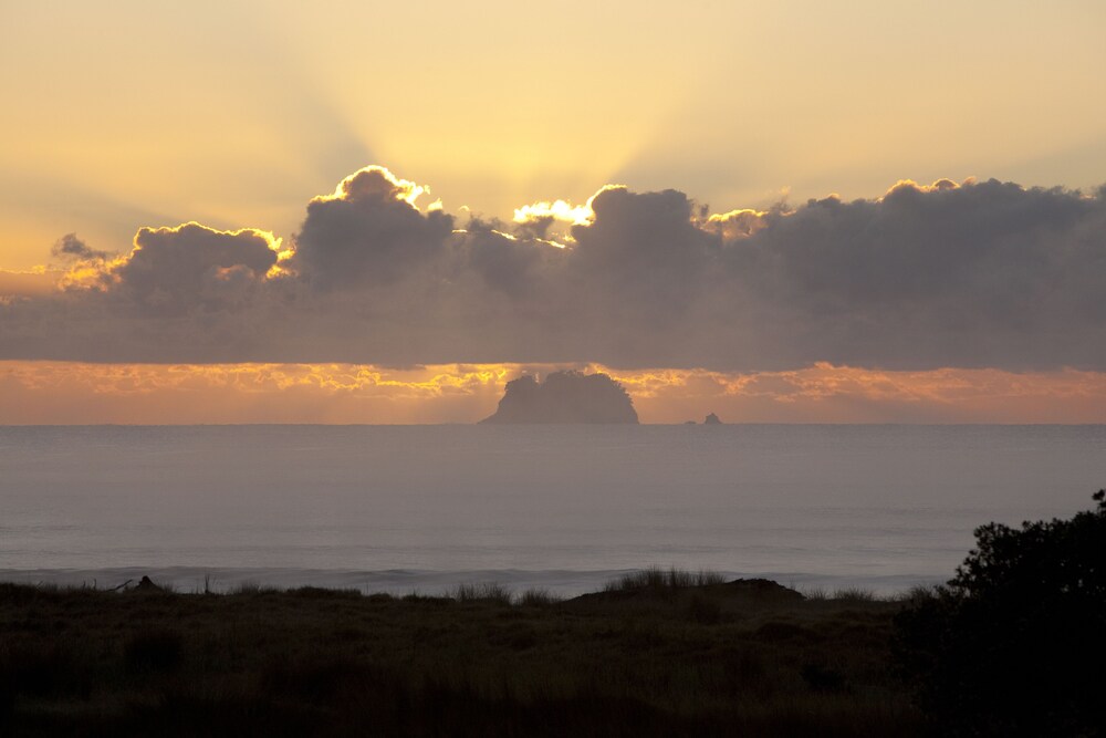 Beach/Ocean View