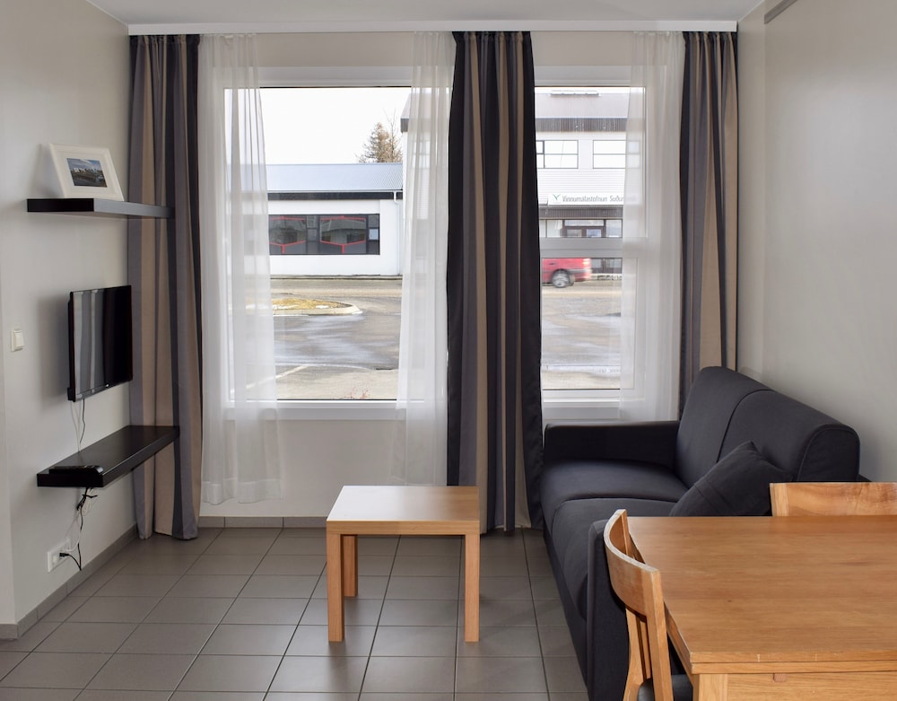 Superior Studio, 1 Double Bed with Sofa bed - Living Area